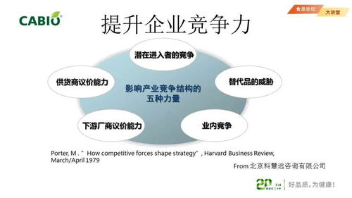 企業(yè)知識產(chǎn)權(quán)管理與專利信息利用 構(gòu)建核心競爭力與商業(yè)價(jià)值的管理咨詢策略